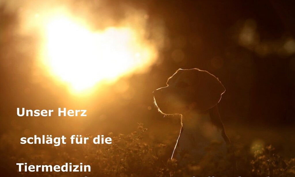 Stellenauschreibung TFA